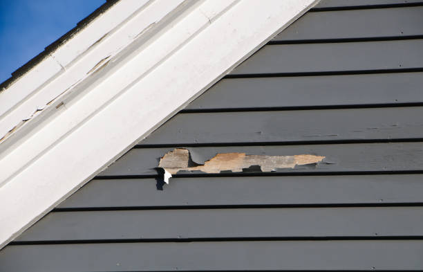 Best Siding Painting and Refinishing  in Tell City, IN